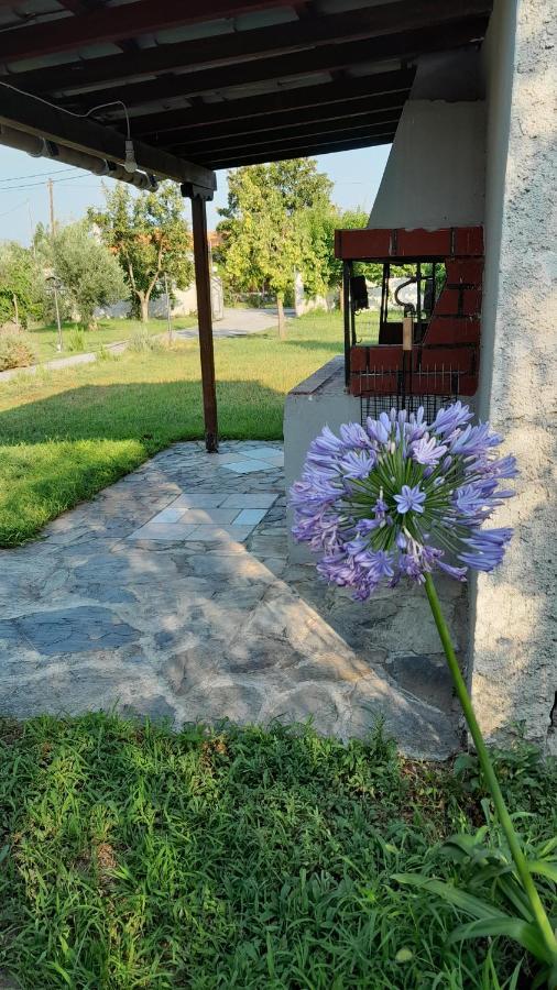 Villa Gorjelina 'S House à Vólos Extérieur photo